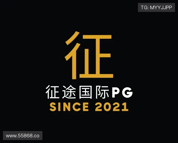 介绍征途国际pg